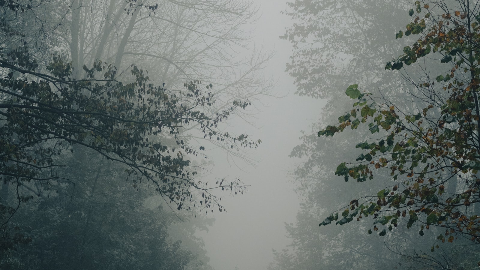 Un chemin de montagne disparaissant dans le brouillard, symbole d'avenir incertain