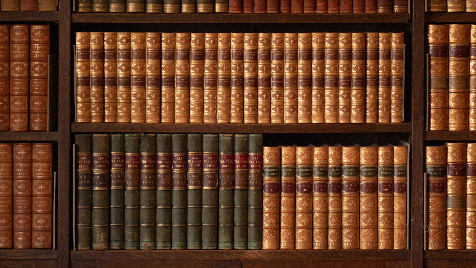 Rayonnages de livres anciens