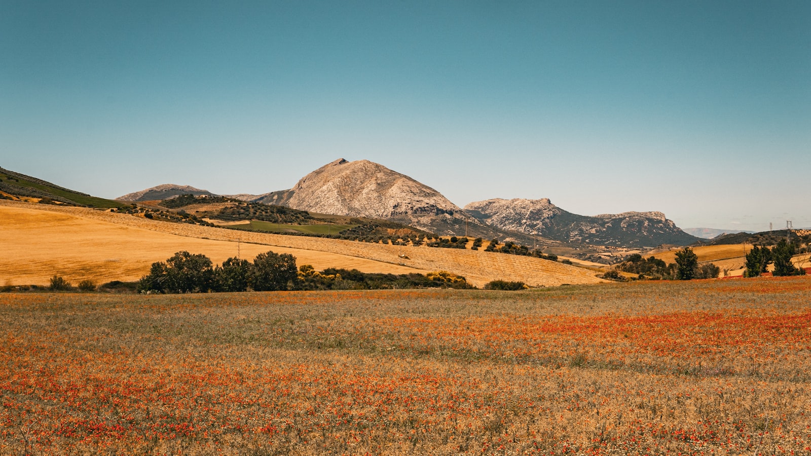 Collines andalouses au soleil couchant