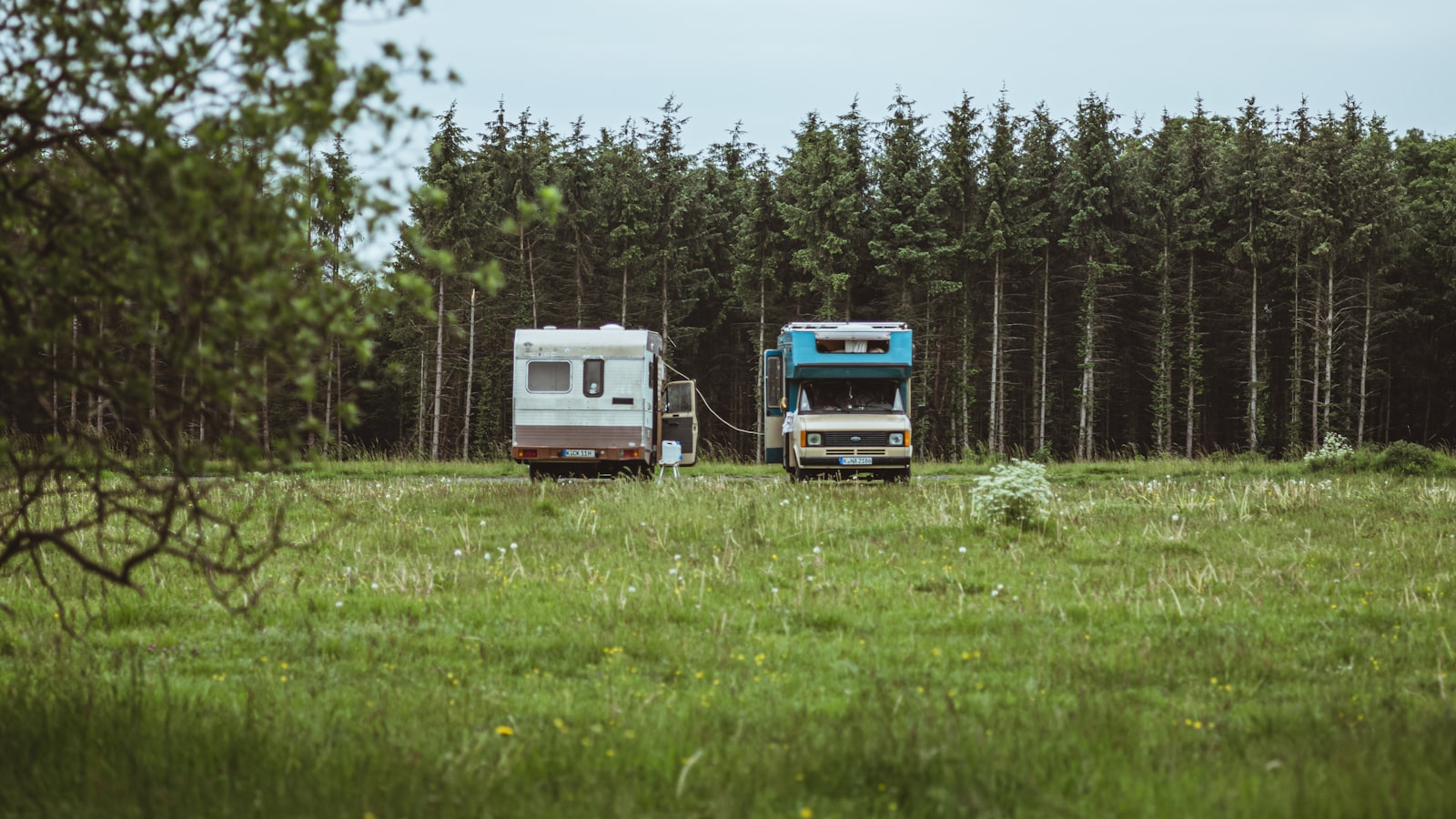 Camping-cars alignés sous les arbres
