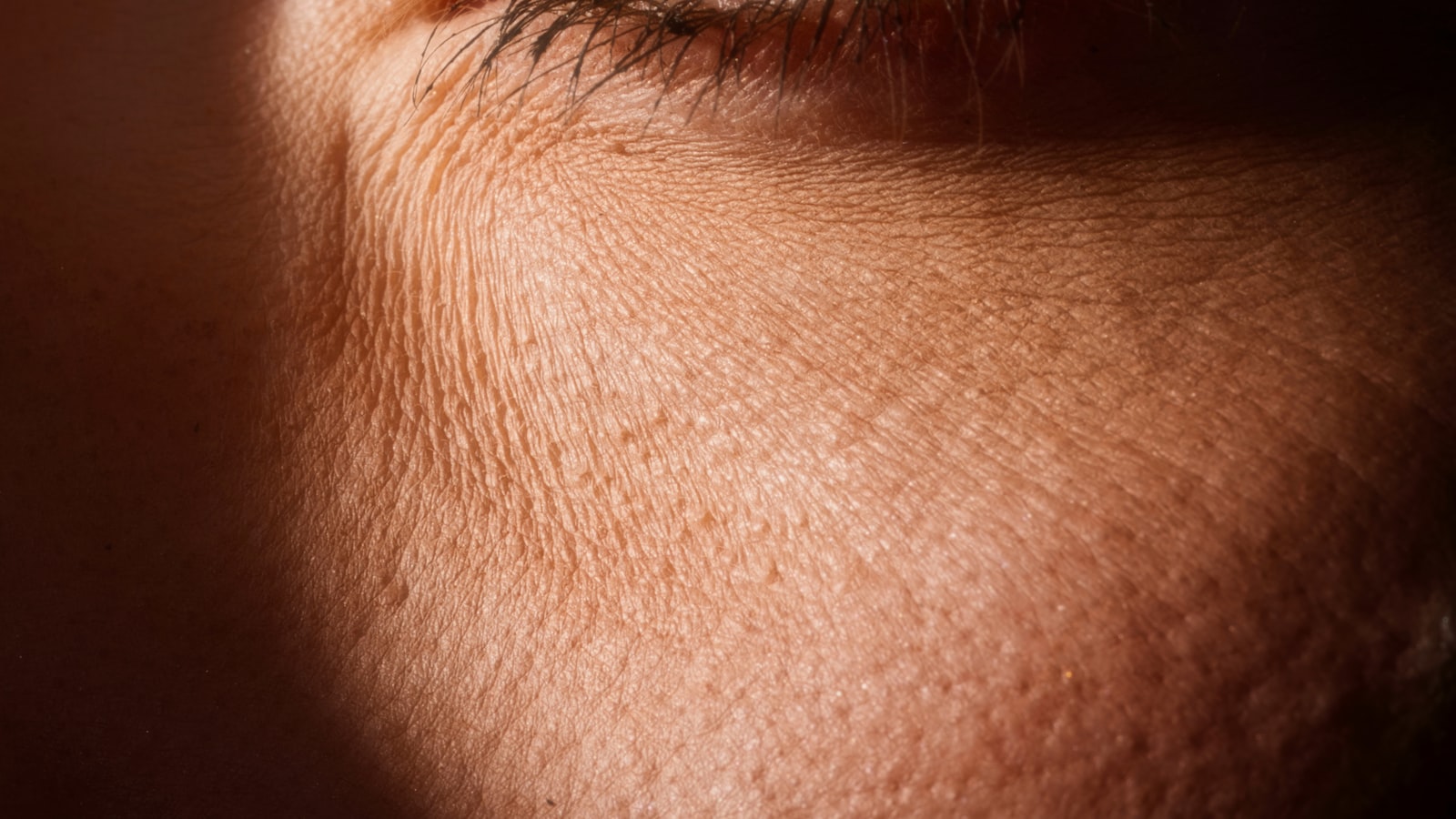 Gros plan sur une paupière et des cils