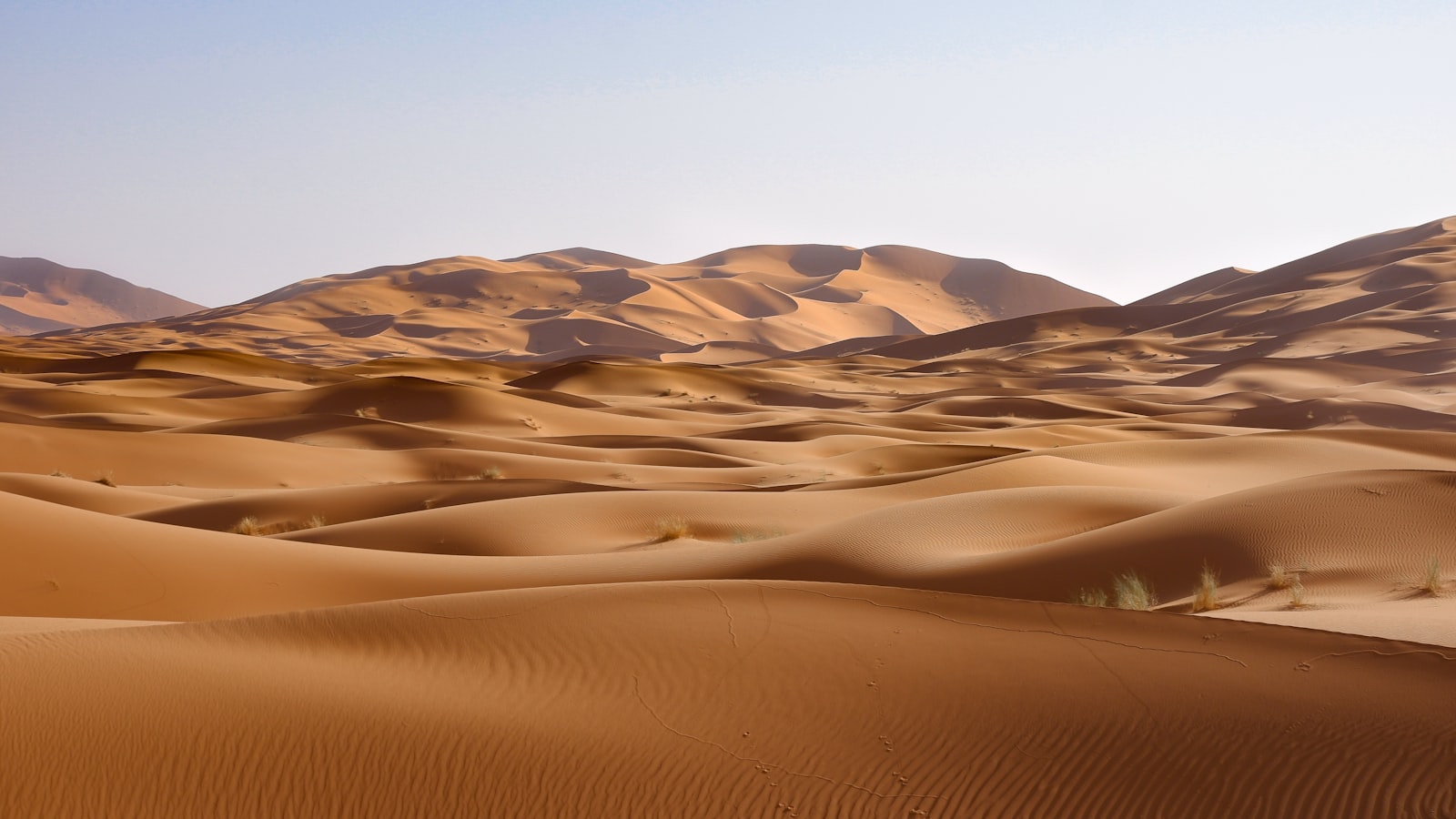 Dunes du Sahara au coucher du soleil