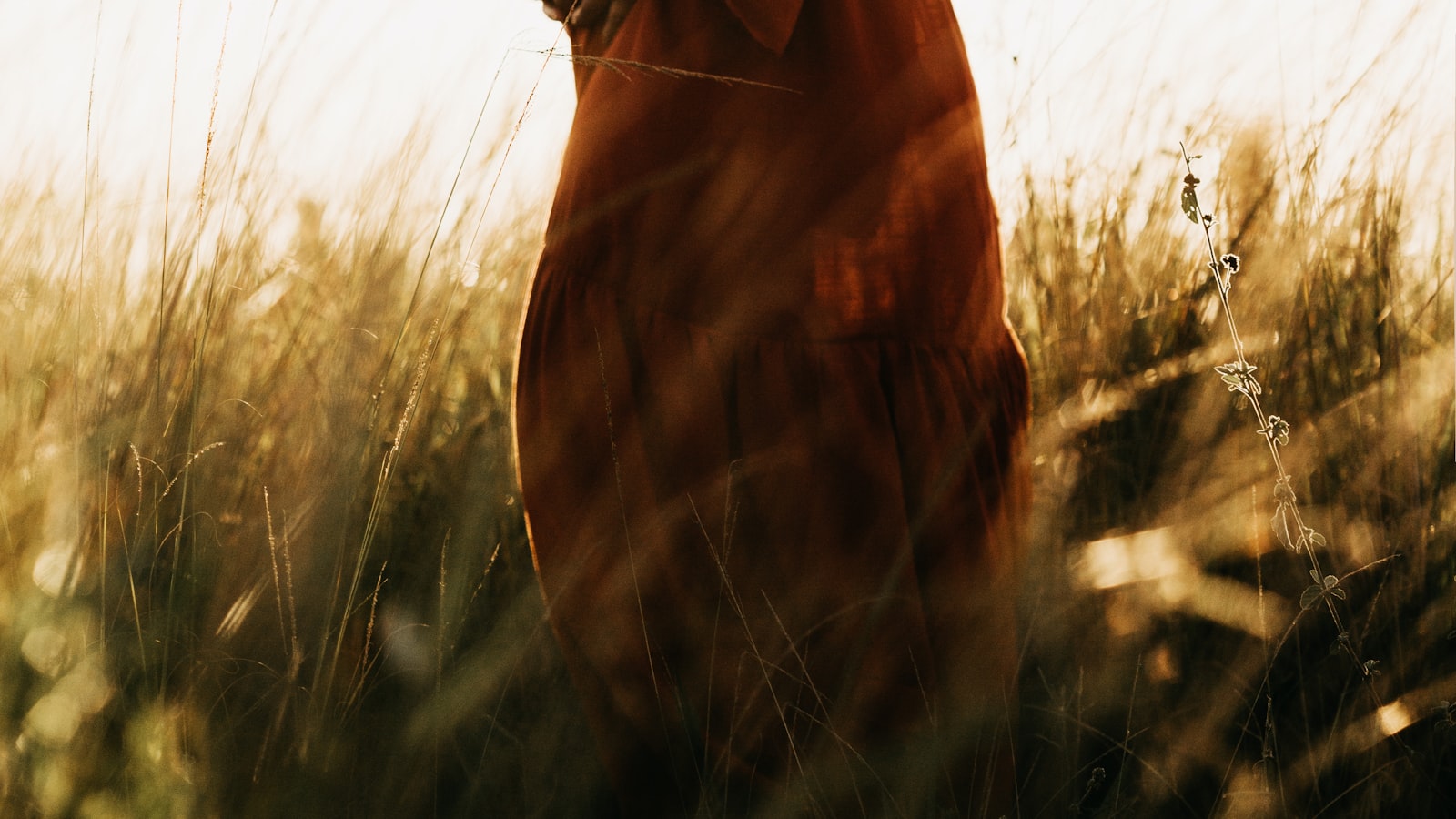 Femme enceinte dans un champ au soleil couchant