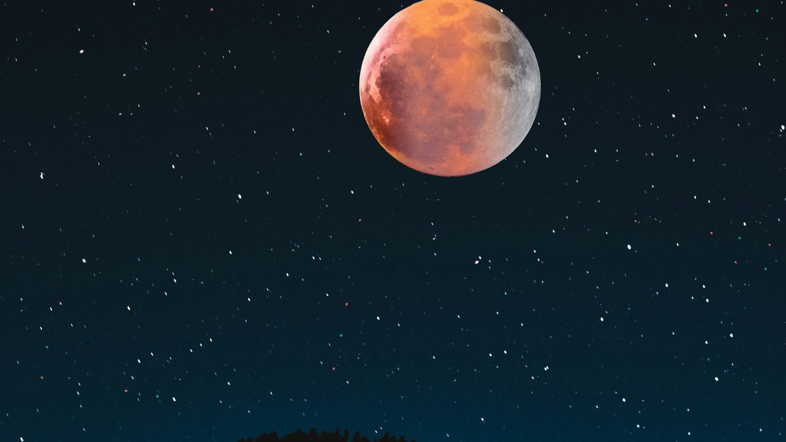 Lune éclipsée aux teintes cuivrées, un bord resté gris clair, dans un ciel nocturne étoilé au-dessus d'une silhouette d'arbres