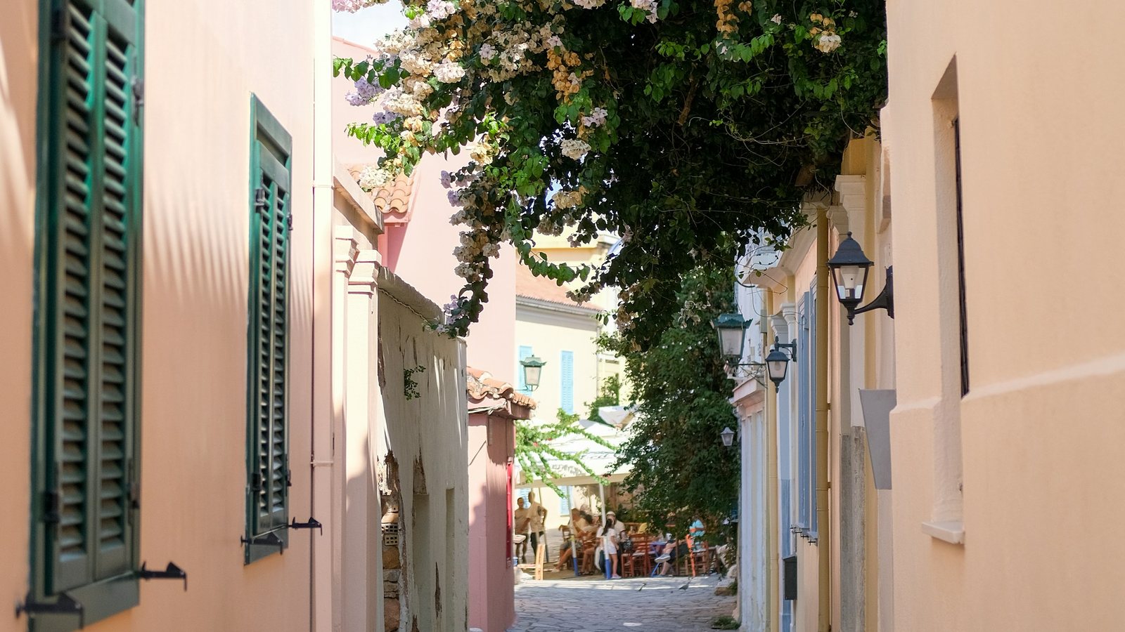 Une ruelle avec un arbre au milieu