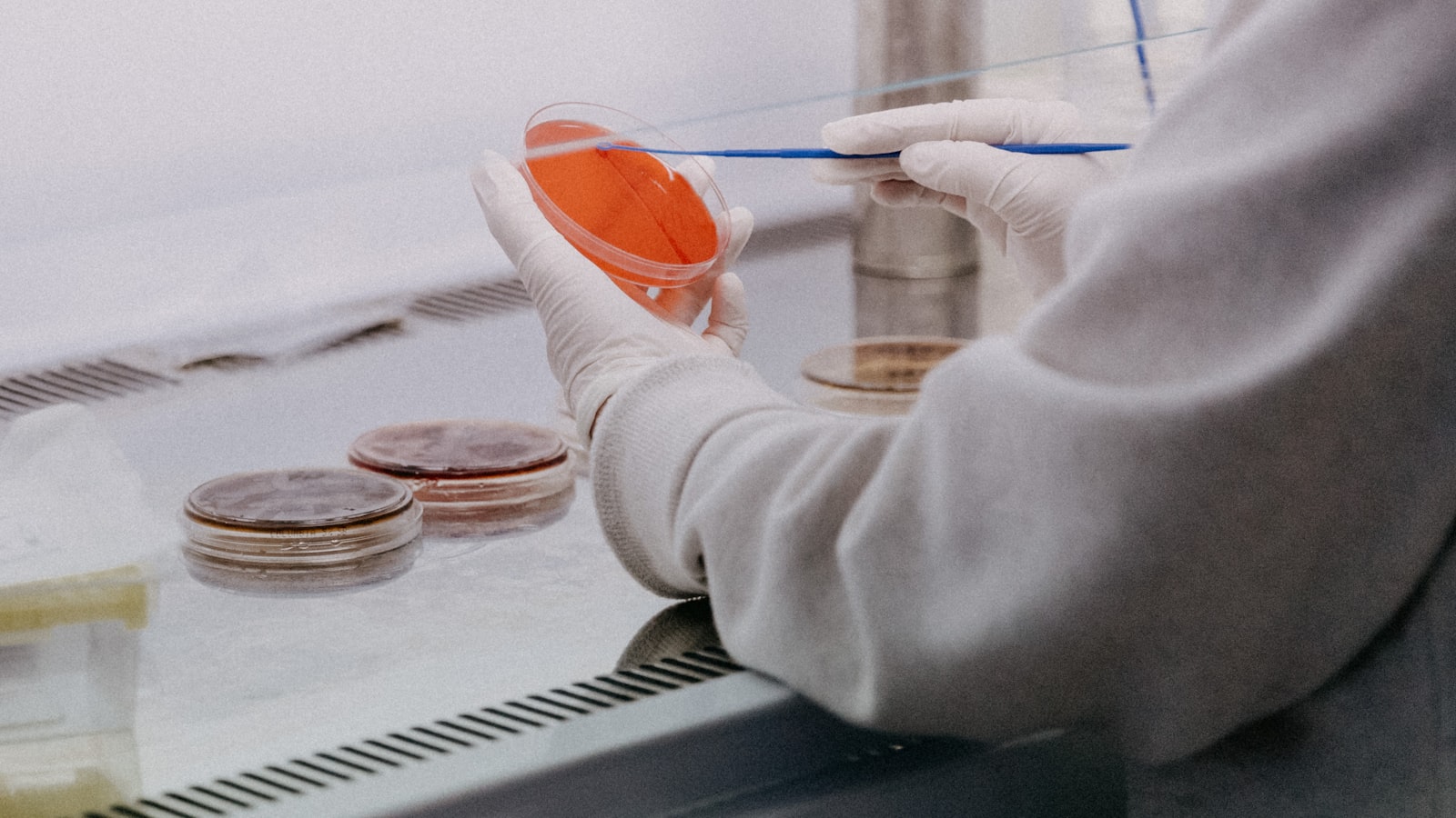Représentation d'un implant neuronal relié au cortex cérébral