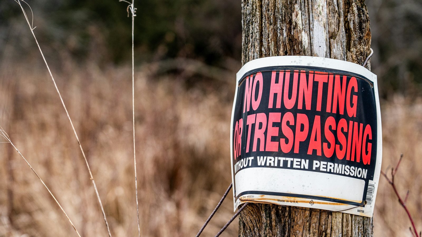 Panneau d'interdiction de chasse cloué sur un poteau de bois devant des herbes sèches