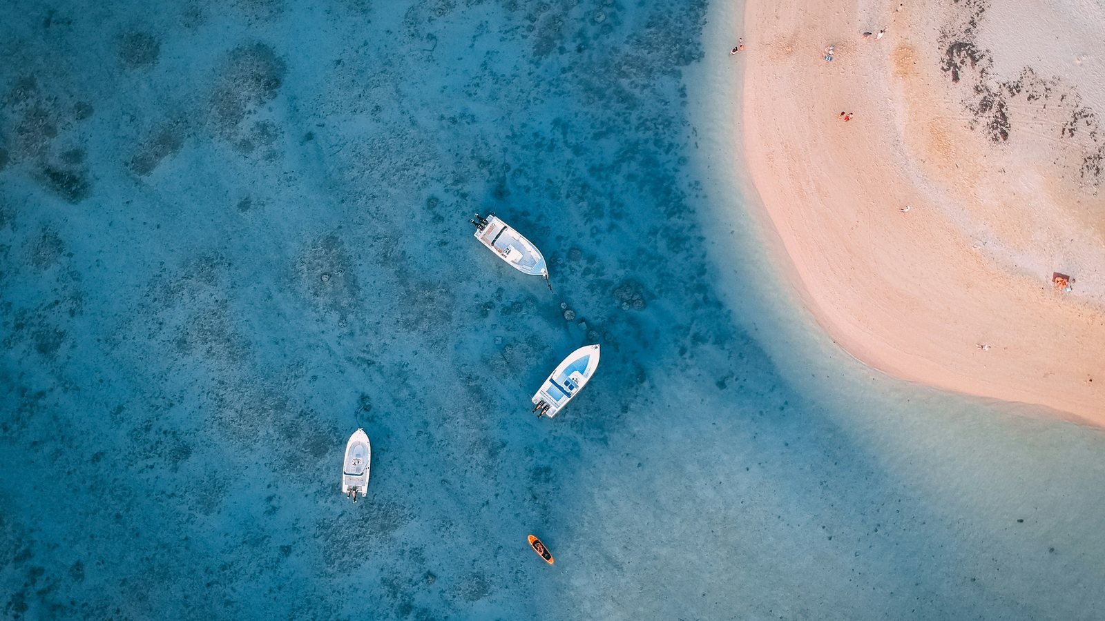 Des bateaux amarrés près du rivage