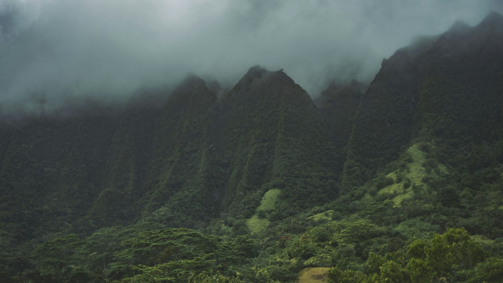 Un relief boisé pris dans les nuages