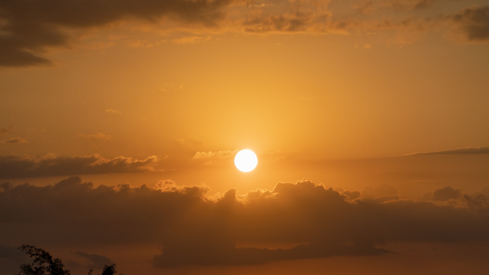 Soleil éblouissant au-dessus de l'horizon