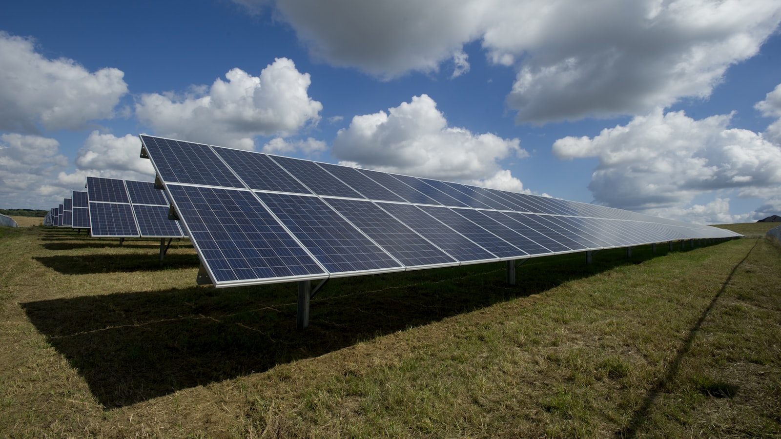 Champ de panneaux solaires