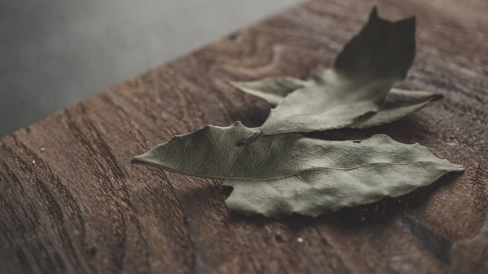 Feuilles de laurier en cours de séchage