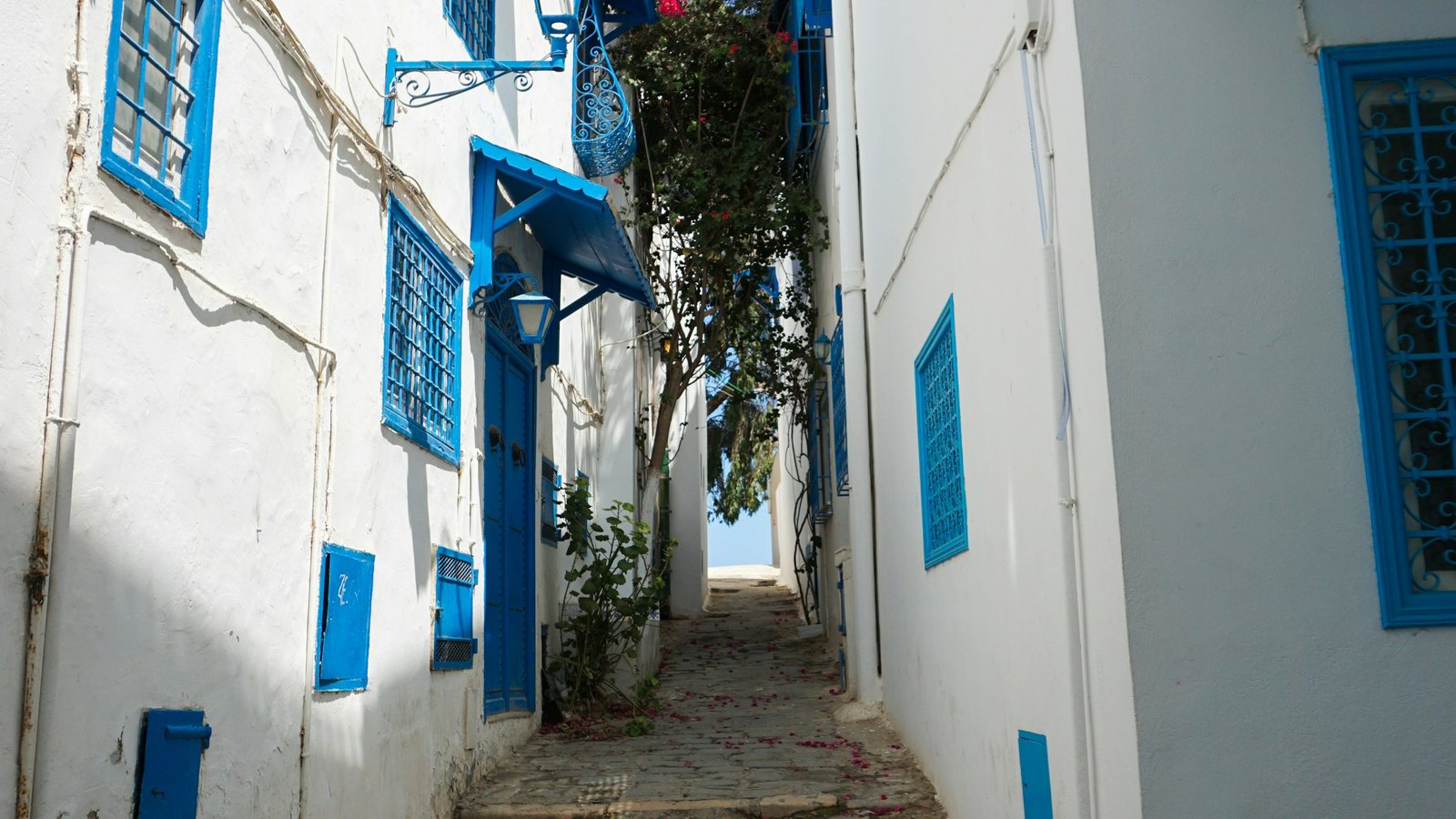 Une ruelle aux volets bleus