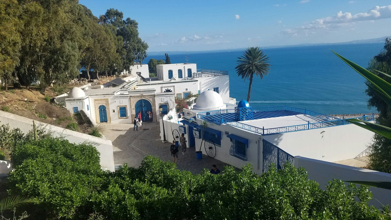 Les façades blanches et bleues de Sidi Bou Saïd